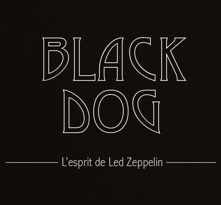 Hommage à Led Zeppelin — Black Dog